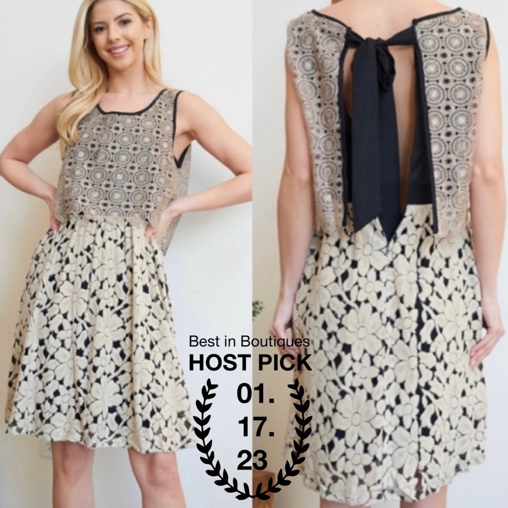 👗HP👗NWT Ryu HANDMADE Shimmer Lace Tie Back Dress